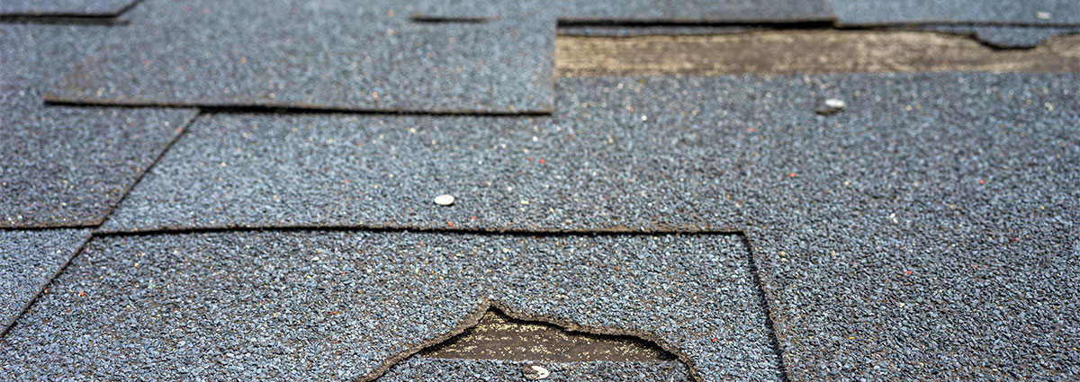 repair patch or replace roof
